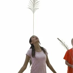 Creativity Street Non-Toxic Peacock Feathers, 35 To 40 Inches, Pack Of 12 -schoolspecialty store 004070 PB ecommfullsize