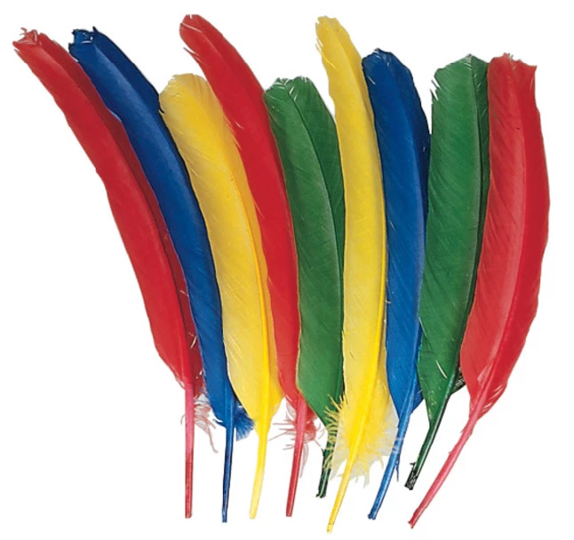 Creativity Street Non-Toxic Quill Feather, 12 In, Assorted Color,Set Of 24 3 Creativity Street Non-Toxic Quill Feather, 12 In, Assorted Color,Set Of 24