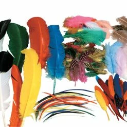 Creativity Street Non-Toxic Assorted Shape Feather Classroom Pack, Assorted Size, Assorted Color
