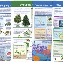 NewPath Learning Bulletin Board Set Of 5, The Six Kingdoms Of Life, Grades 3-5