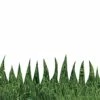 Hygloss Natural Grass Border, 3 X 36 Inches, 12 Strips -schoolspecialty store 2004302 A ecommfullsize
