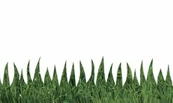 Hygloss Natural Grass Border, 3 X 36 Inches, 12 Strips