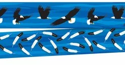 Barker Creek Sea And Sky Eagles Double Sided Trimmer, 3 X 35 Inches, 12 Strips