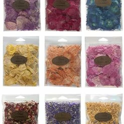 Arnold Grummer's Botanical Value Set, Assorted Colors, Pack Of 9