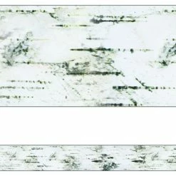 Schoolgirl Style Woodland Whimsy Border, 36 Feet, Birch Tree, 12 Strips