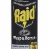 Raid Wasp And Hornet Spray, 14 Ounces -schoolspecialty store 2024321 SPR ecommfullsize