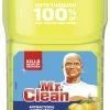 Mr Clean Mr. Clean Antibacterial Cleaner, Summer Citrus, 45 Ounces, Each 1 Mr Clean Mr. Clean Antibacterial Cleaner, Summer Citrus, 45 Ounces, Each -schoolspecialty store 2024373 SPR ecommfullsize