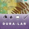 Grafix Dura-Lar Clear Film, 11 X 14 Inches, 0.003 Inch Thickness, 25 Sheets -schoolspecialty store 2105218 A ecommfullsize